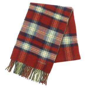 HERMES Red Scarf